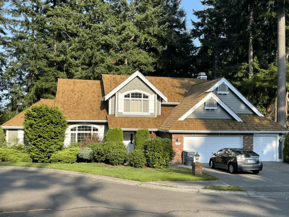 Cedar shake roof treated in a medium brown tone, sunny day, firs behind