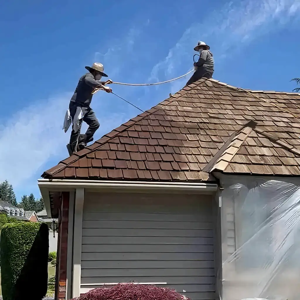 Two Rainier Roof Restoration crew members washing a cedar shake roof, half still weathered grey, half cleaned back to warm cedar, plants below protected by sheeting